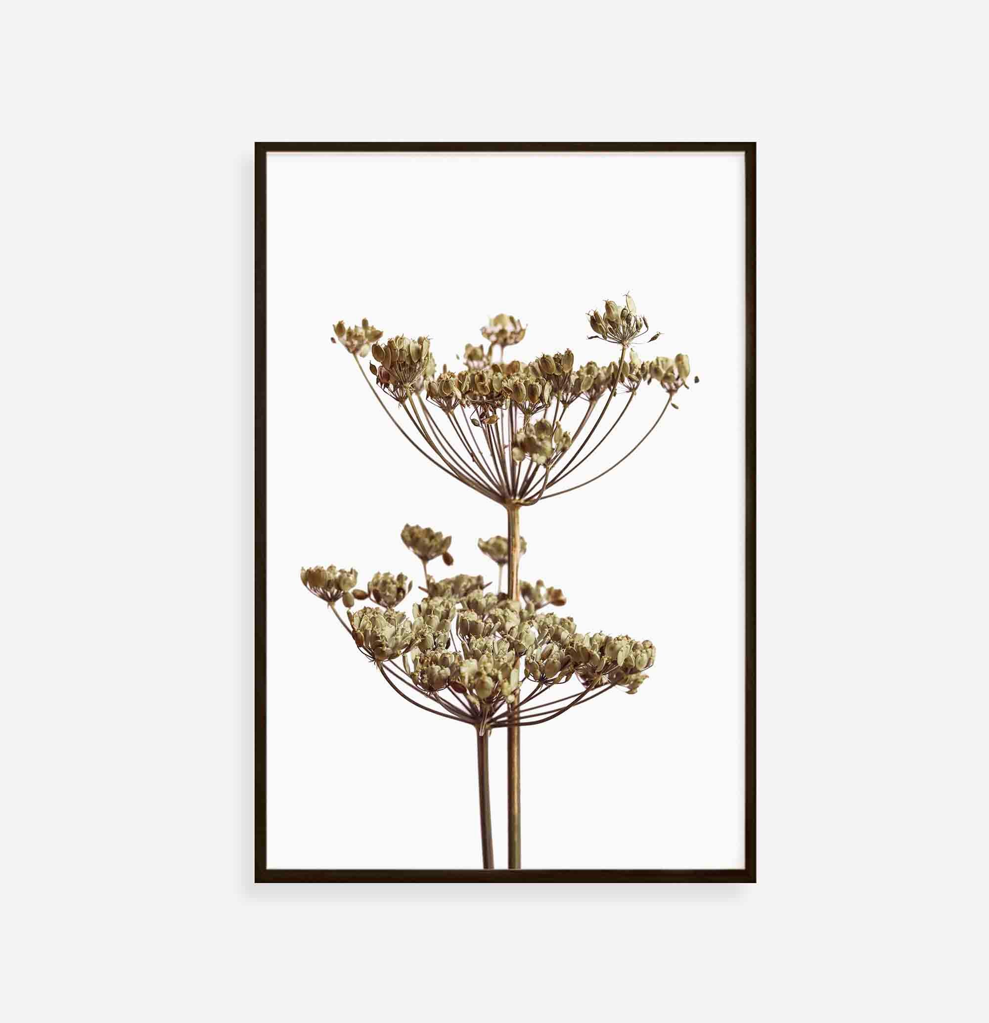 Botanical Printable Modern Botanical Art Wildflowers Art | Etsy
