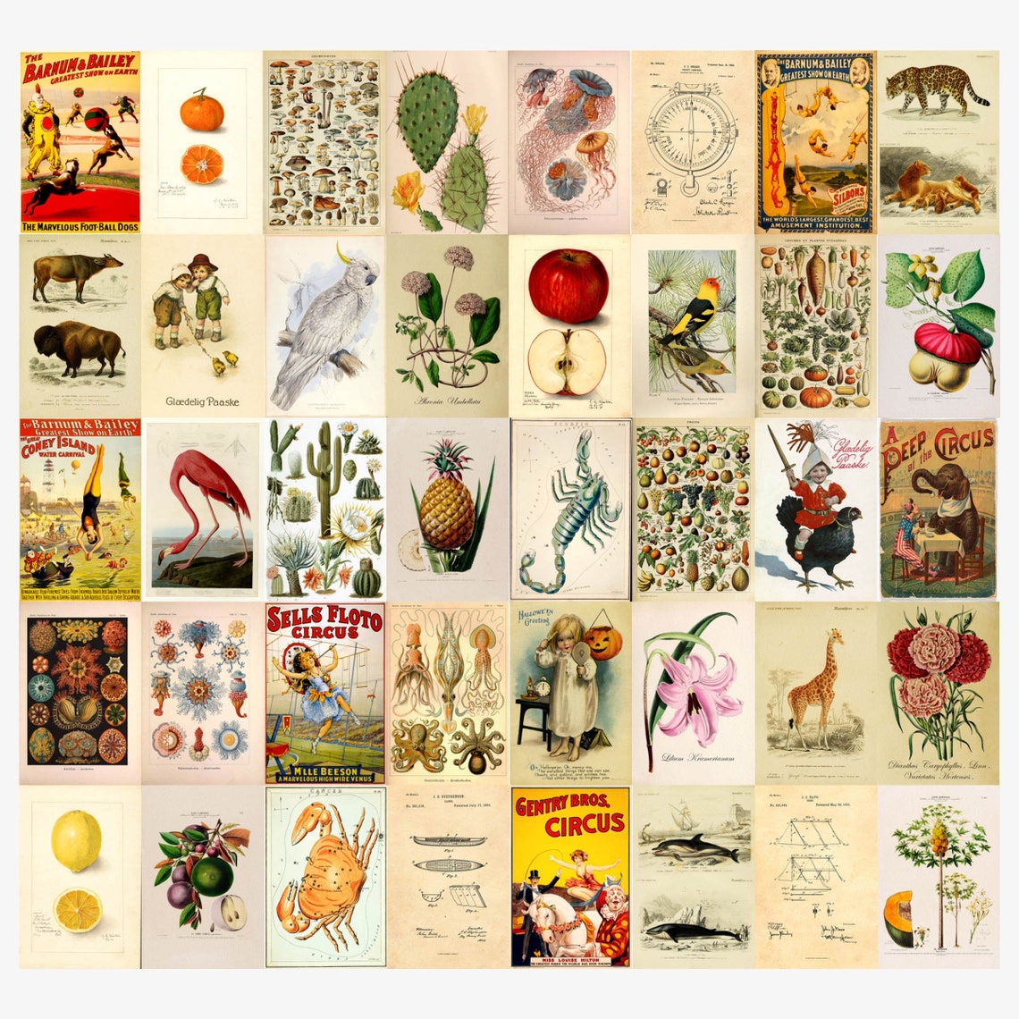 Vintage Wall Collage Kit Collage Kit Wall Art Decor Etsy