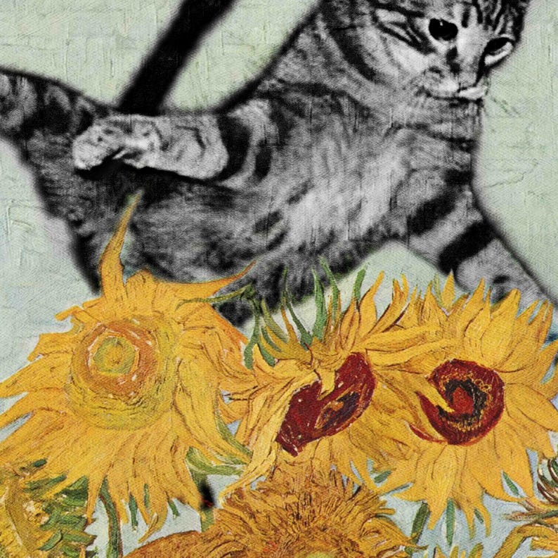 Puede incluir: Un gato blanco y negro salta sobre un campo de girasoles amarillos. La cola del gato est&aacute; enroscada detr&aacute;s de &eacute;l y sus patas est&aacute;n extendidas. Los girasoles est&aacute;n en plena floraci&oacute;n, con sus p&eacute;talos abiertos de par en par.