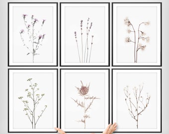 Wildflower Botanical Print Set: Gallery Wall Art (Digital Download)