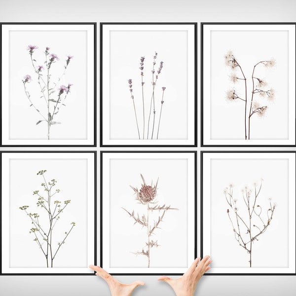 Botanische wilde bloemenprintset: galerijmuurkunst (digitale download)