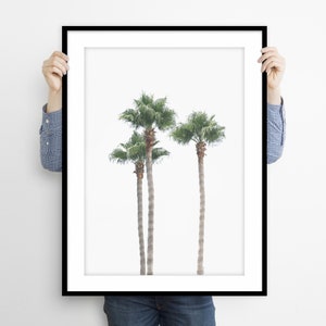 Palm Tree Print, Beach Wall Art Decor, Landscape Photography, Large Printable Poster, Instant Digital Download, Palm Trees Wall Art, Prints