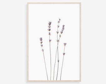 Lavender Flower Photography Print: Botanical Farmhouse Decor (Digital Download)