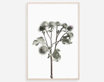 Fototryck med vildblommor: Botanisk väggkonst (digital nedladdning)