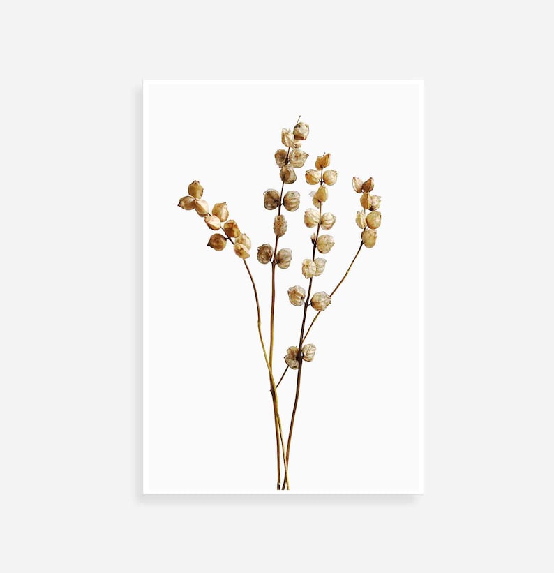 Botanical Wall Art Flower Wall Art Dried Flowers Print Etsy
