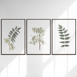 Leaf Printable Art, Set of Prints, Flower Wall Art, Botanical Art ...