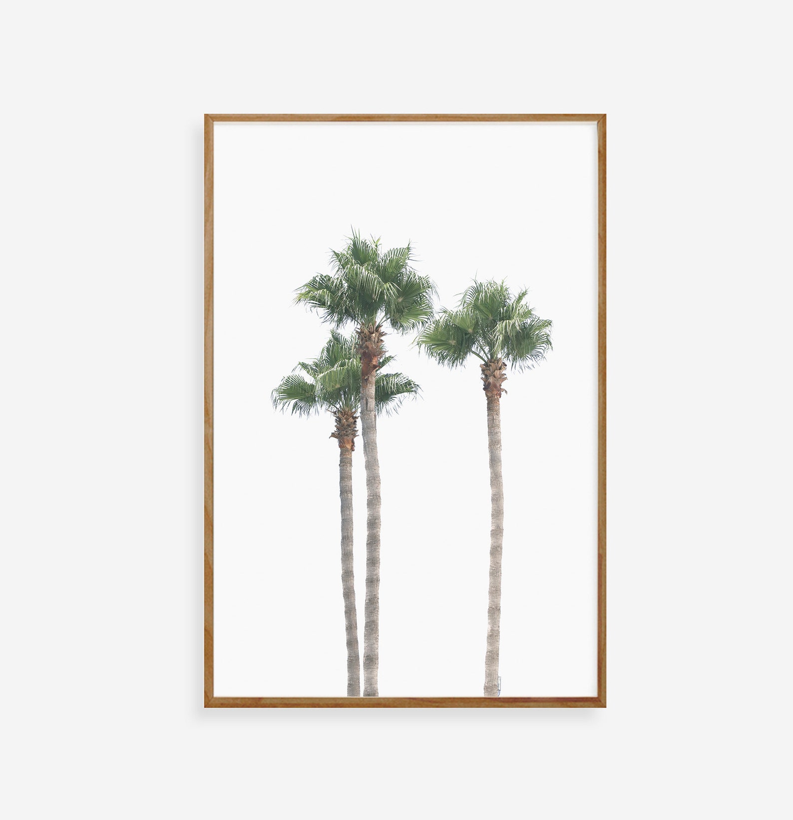 Palm Tree Print Beach Wall Art Decor Landscape Photography Etsy