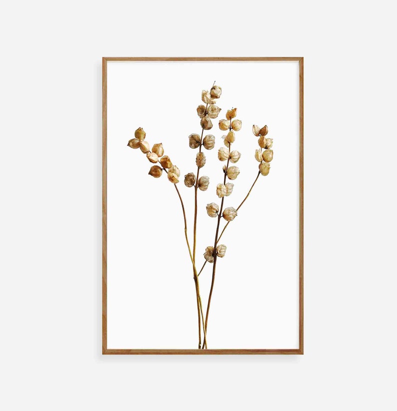 Botanical Wall Art Flower Wall Art Dried Flowers Print Etsy