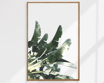 Tropical Banana Leaf Print: Green Wall Art (Digital Download)