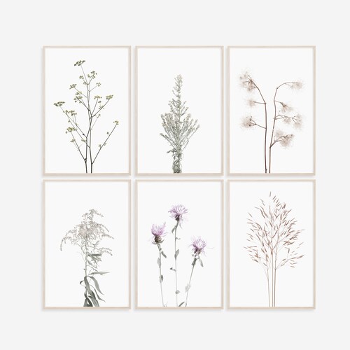 Floral Wall Art Botanical Printable Set White Flower Print Etsy