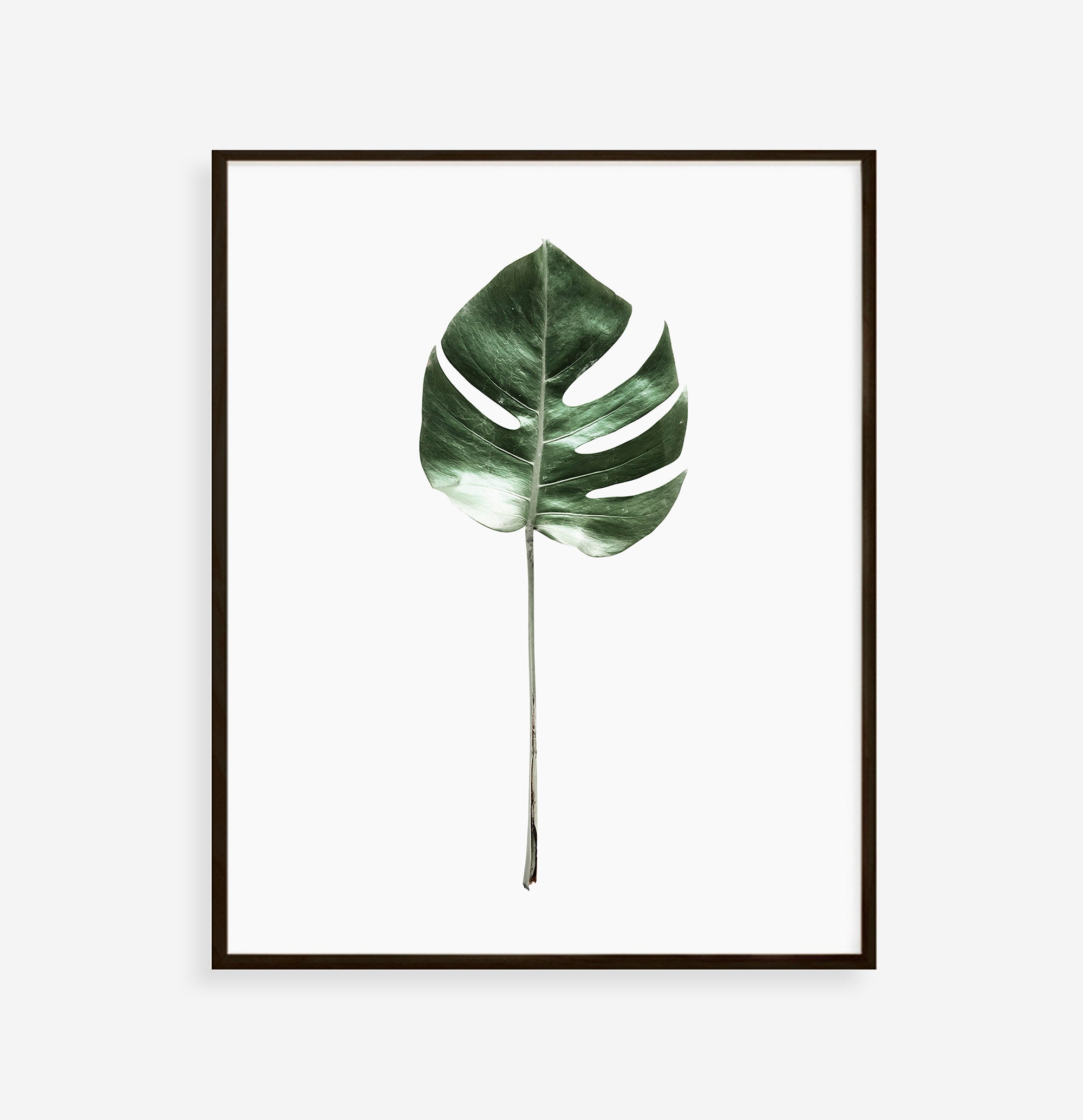 Monstera Wall Art Botanical Prints Set of Prints Wall Art Etsy