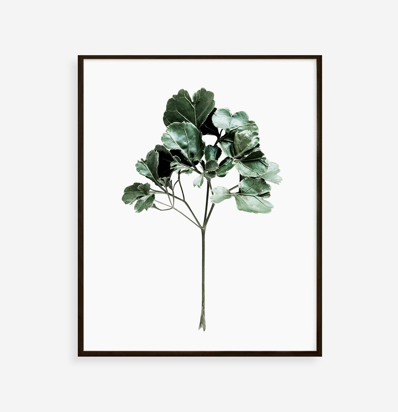 Monstera Wall Art Botanical Prints Set of Prints Wall Art Etsy