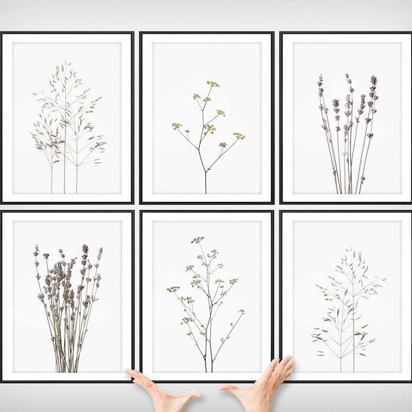 Lijntekeningen met wilde bloemen: botanische muurdecoratieset (digitale download)
