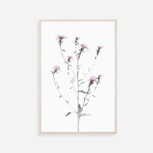 Botanischer Druck, Wildblumen Druck, Bauernhaus Wand Dekor, Pflanze Poster, Blumen Wand Kunst Kraut Drucke druckbare Kunst Digital Download Fotokunst