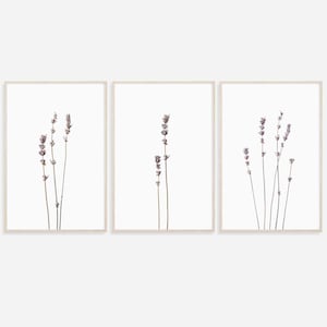 Lavender Prints, Botanical Print, Set of 3 Prints, Lavender Poster, Wildflower Print, Minimalist Art Prints, 3 Prints Wall Art, Wall Decor