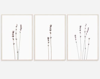 Set de impresiones botánicas de lavanda: Arte minimalista de flores silvestres (descarga digital)