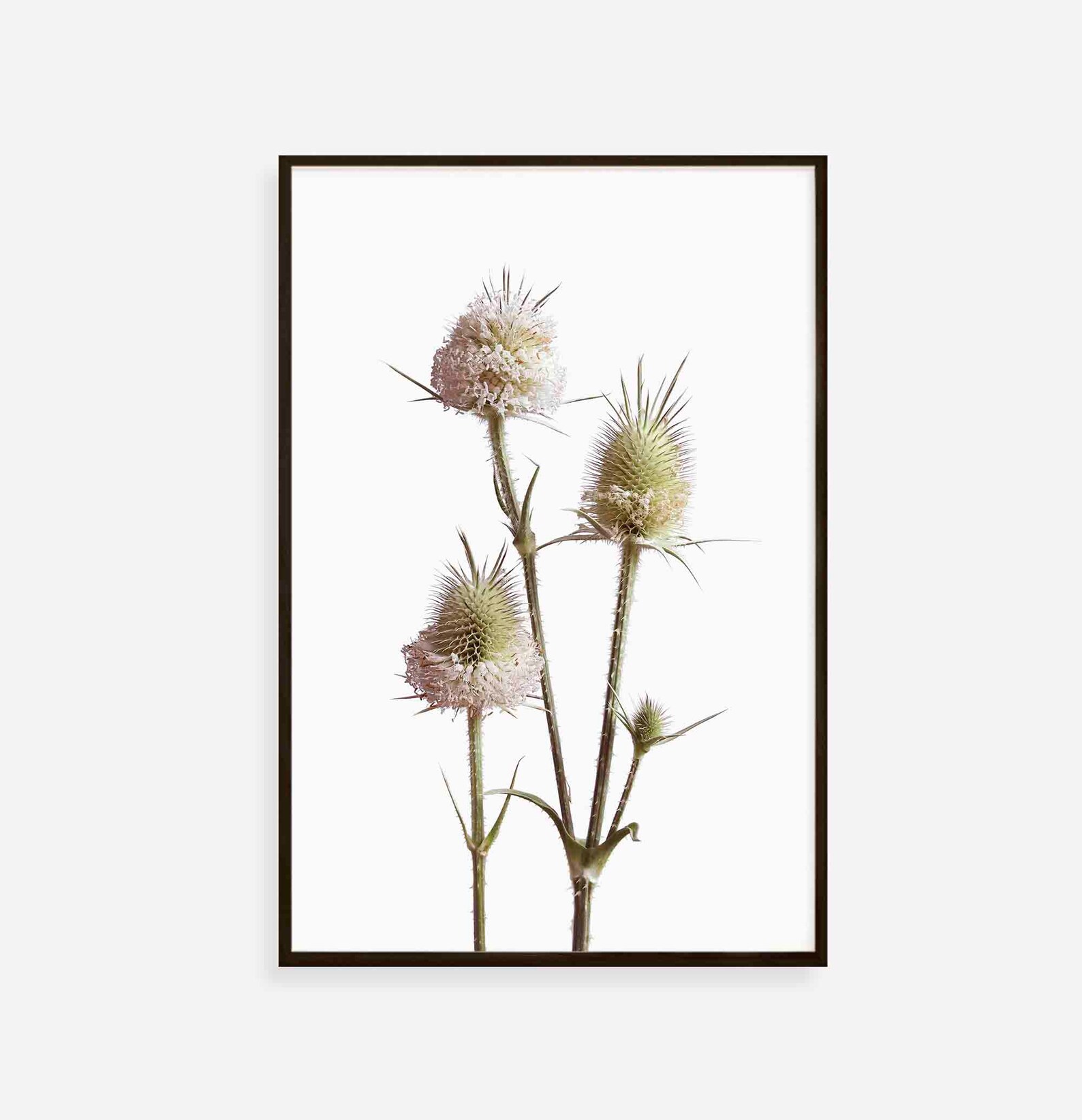 Printable Wall Art Botanical Art Print Wildflowers Wall Art Etsy