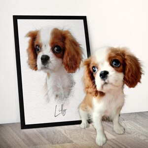 May include: A framed portrait print featuring a watercolor-style illustration of a Cavalier King Charles Spaniel with white and brown fur. The name Lilly is written in black script below the dog. A live Cavalier King Charles Spaniel sits nearby.