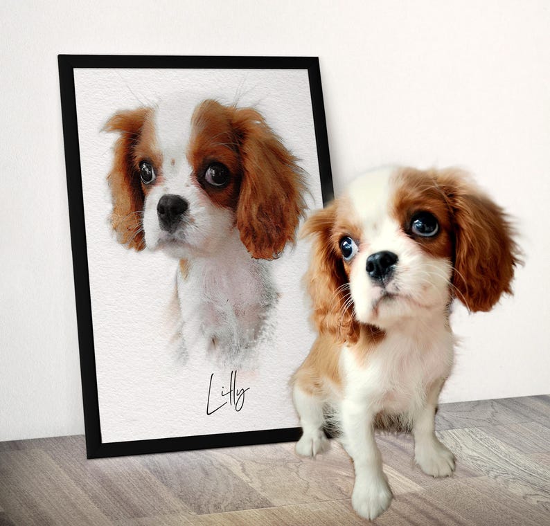 May include: A framed portrait print featuring a watercolor-style illustration of a Cavalier King Charles Spaniel with white and brown fur. The name Lilly is written in black script below the dog. A live Cavalier King Charles Spaniel sits nearby.