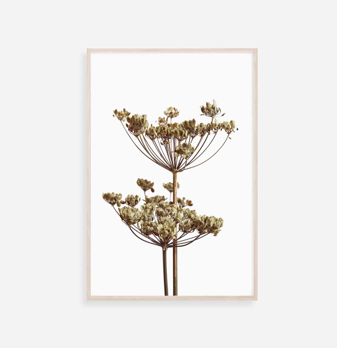 Botanical Printable, Modern Botanical Art, Wildflowers Art Print ...