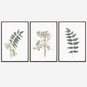 Leaf Printable Art, Set of Prints, Flower Wall Art, Botanical Art ...