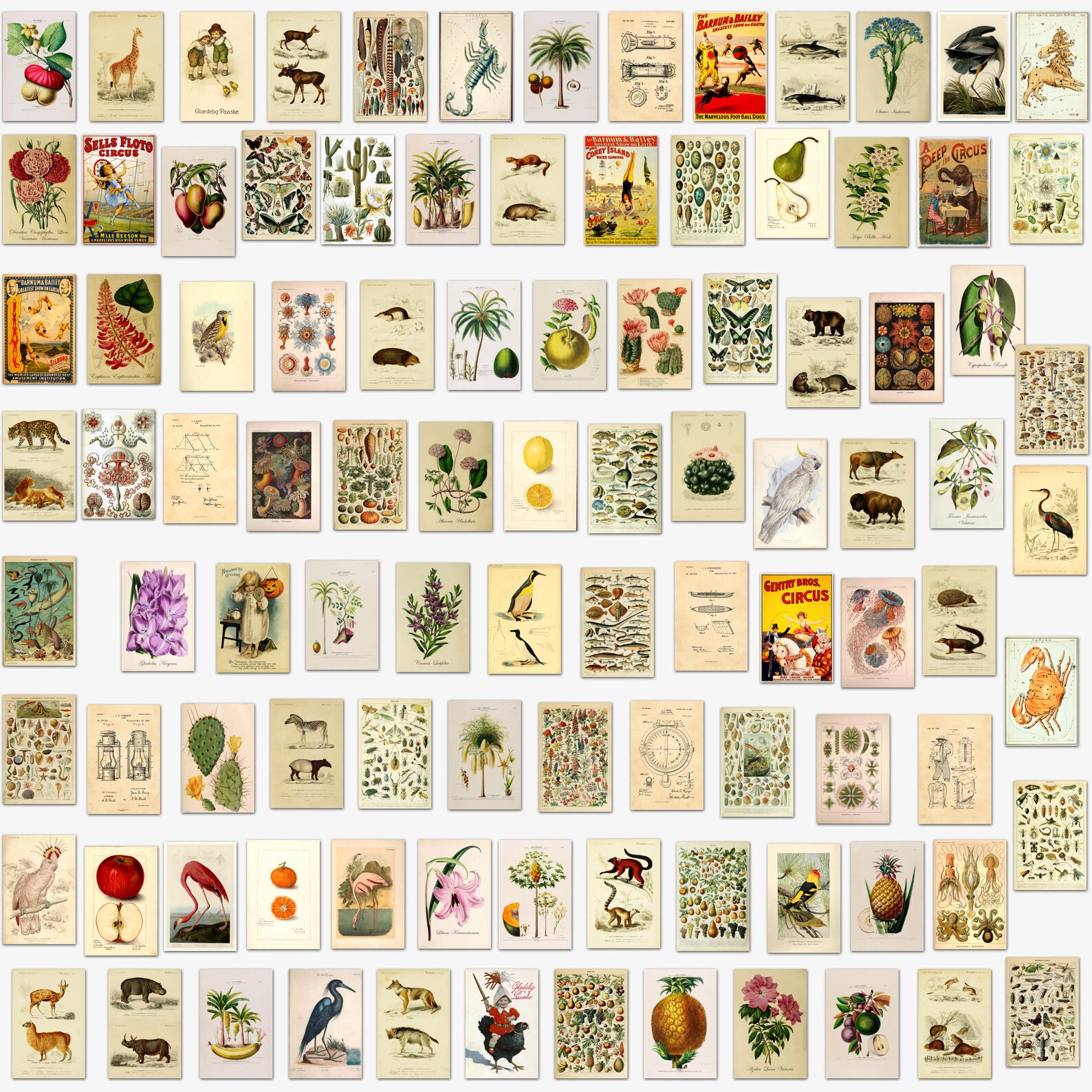 Vintage Wall Collage Kit Collage Kit Wall Art Decor Etsy