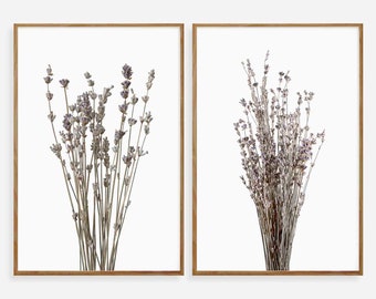 Set de láminas botánicas de lavanda, decoración de pared estilo rústico (descarga digital)