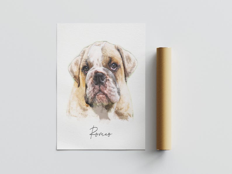 May include: A white paper print featuring a watercolor illustration of a tan and white bulldog with a wrinkled face and dark eyes. Below the dog, the name Romeo is written in a black cursive script. A brown cardboard mailing tube sits nearby.