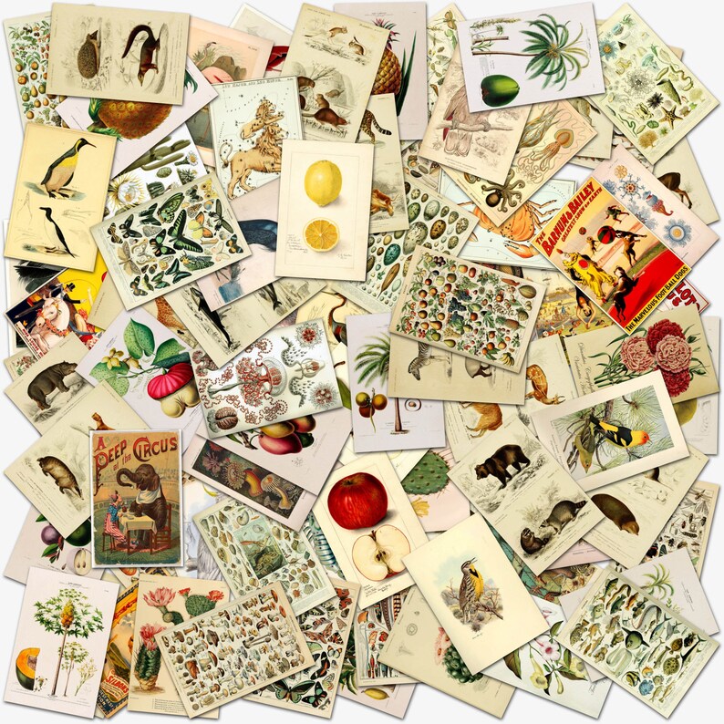 Vintage Wall Collage Kit Collage Kit Wall Art Decor Etsy Australia