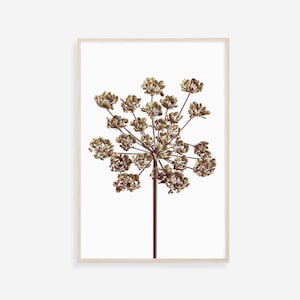 Botanical Print, Botanical Poster, Botanical Wall Art, Dried Flower Print, Botanical Art Print, Digital Download, Wildflowers Print, Prints