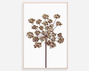 Botanical Print, Botanical Poster, Botanical Wall Art, Dried Flower Print, Botanical Art Print, Digital Download, Wildflowers Print, Prints