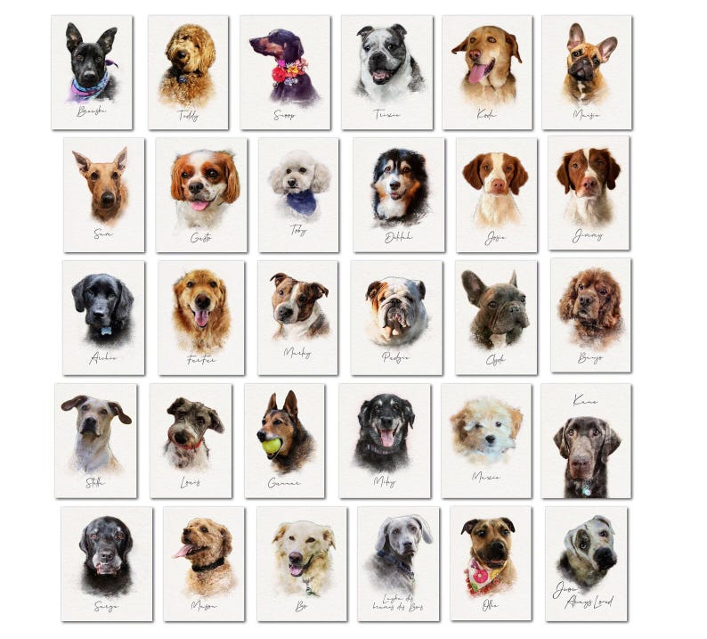 May include: A collection of thirty individual portrait prints featuring various dog breeds in a watercolor style. Each rectangular print displays a single dog's head and shoulders against a white background, with a handwritten name below each image.