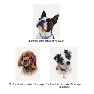Custom Pet Drawing, Custom Pet Portrait, Digital Painting, Dog Memorial, Cat Memorial, Pet Portrait, Dog Memorial Gift, Custom Dog Portrait image 8
