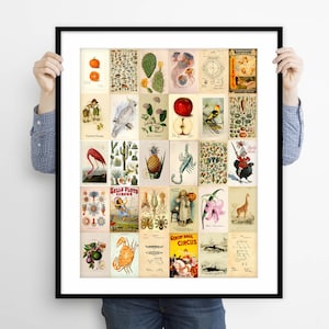 Vintage Wall Collage Kit, Collage Kit Wall Art Decor, Aesthetic Wall Collage Kit Decor, Collage Kit Picture Download, Collage Kit 100 Prints