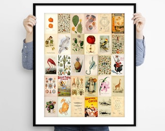 Vintage Wall Collage Kit, Collage Kit Wall Art Decor, Aesthetic Wall Collage Kit Decor, Collage Kit Picture Download, Collage Kit 100 Prints