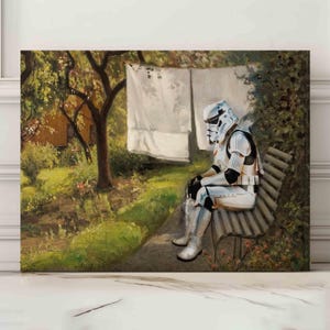 Stampa artistica da parete con dipinto alterato di Stormtrooper, arte divertente, decorazione per lavanderia, stampa divertente per lavanderia, arte murale per lavanderia, stampa da parete per stanza