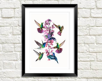 Hummingbird Print: Birds and Pink Flower Art Illustration