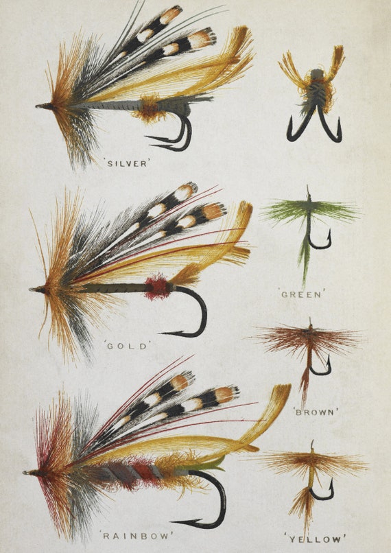 Fishing Poster: Vintage Fly Bait and Hook Art Illustration