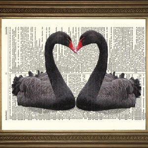 May include: Two black swans with their necks curved into a heart shape, their beaks touching. The swans are on a vintage book page with black text.