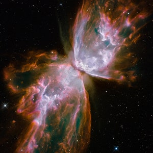 May include: A vibrant nebula in space, resembling a butterfly with wings of red, orange, and blue, against a backdrop of twinkling stars.