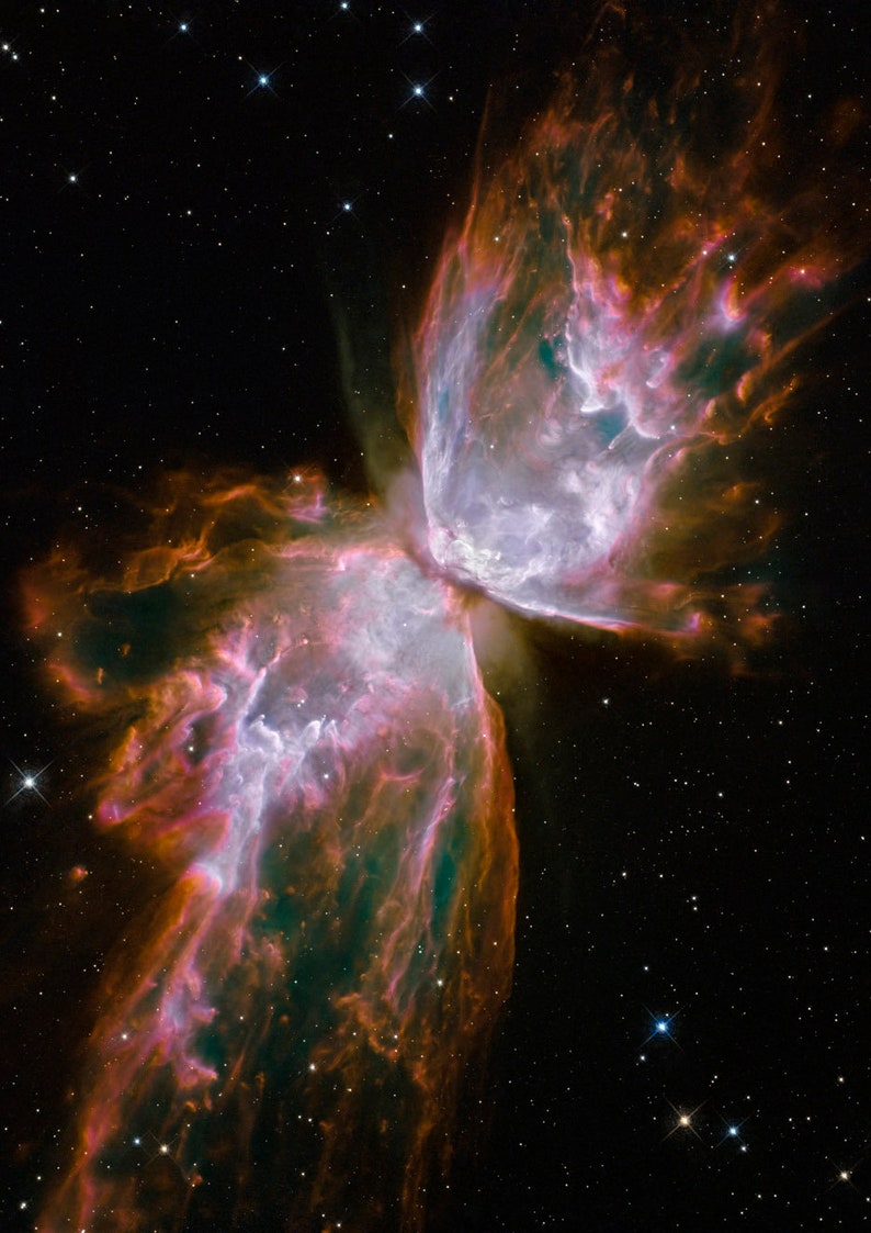 May include: A vibrant nebula in space, resembling a butterfly with wings of red, orange, and blue, against a backdrop of twinkling stars.