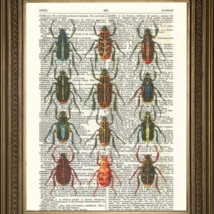 Bugs Print: Insect Art, Printed on Vintage Dictionary Pages