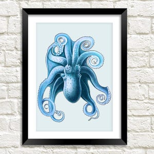 Octopus and Giant Squid Prints: Vintage Ocean Life Sea Theme Art