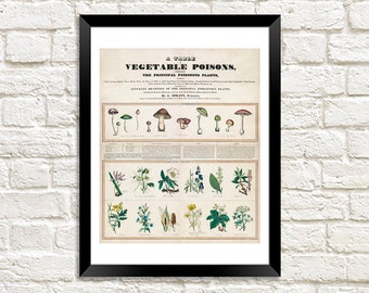 Giftige planten-afdruk: vintage poster plantengif kunstillustratie