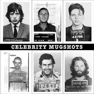Celebrity Mugshot Prints: Famous Felon Photos