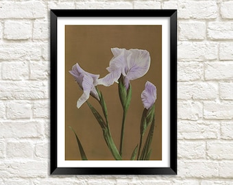 Iris Prints: Vintage Japanese Flower Art Illustrations