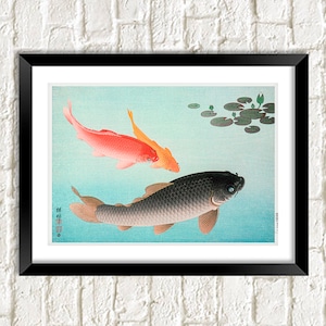 Koi Print: Common and Golden Carp Fish Art Illustration