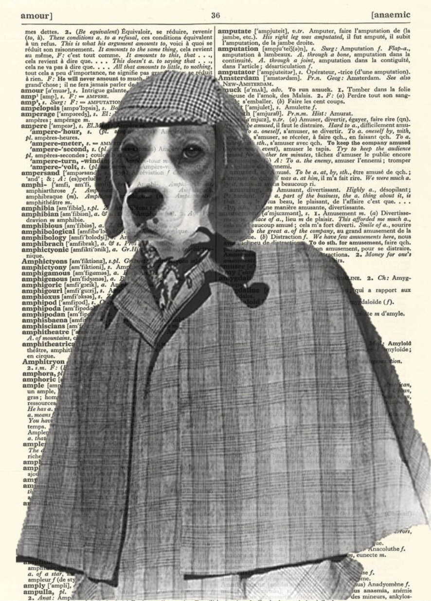the artful canine cancel order the artful canine cancel order