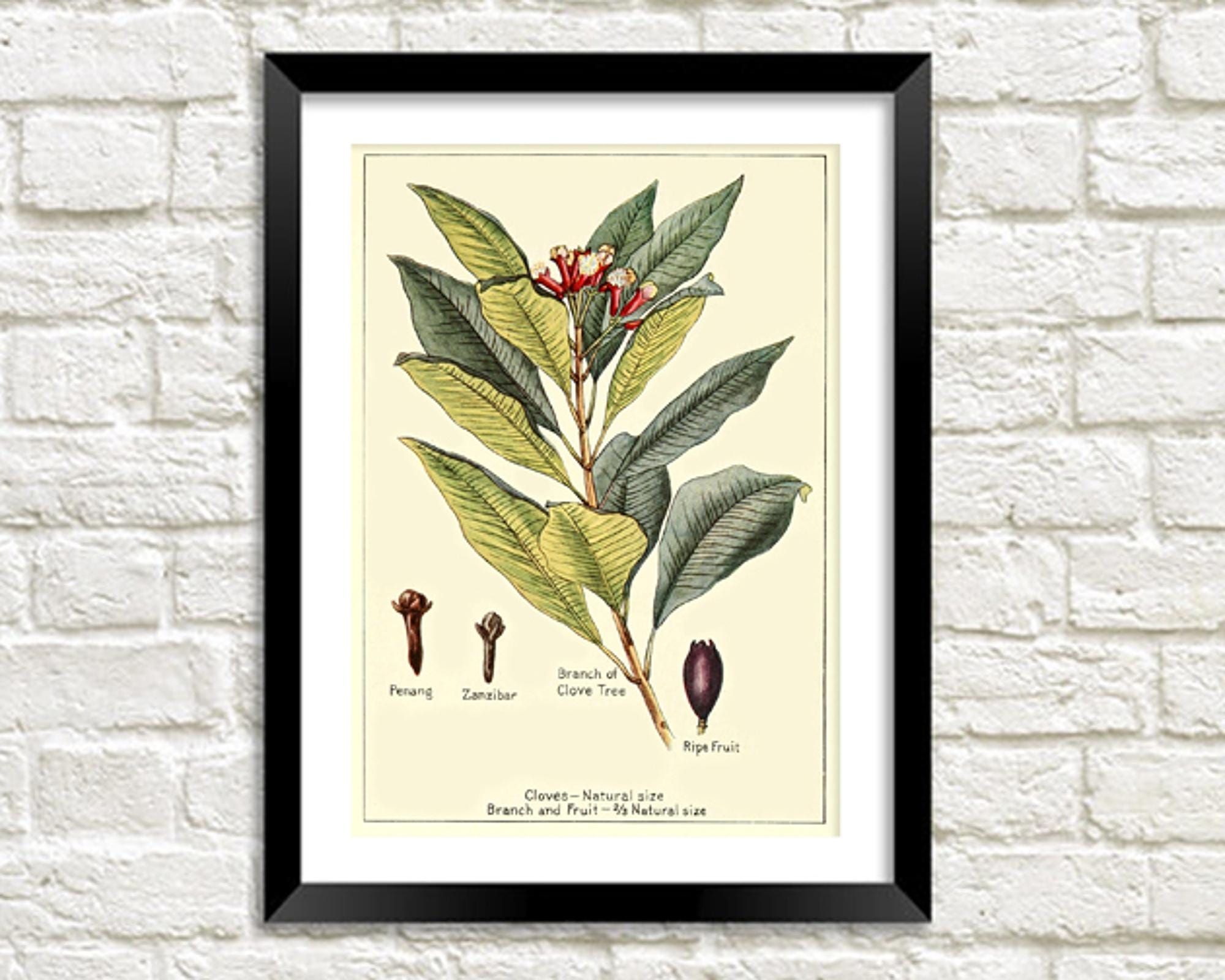 er plant mit mir Tropical Nature Set - Bookmarks