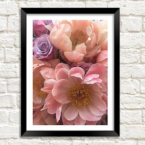 Peony and Rose Print: Pastel Pink Flowers Photo Art Poster